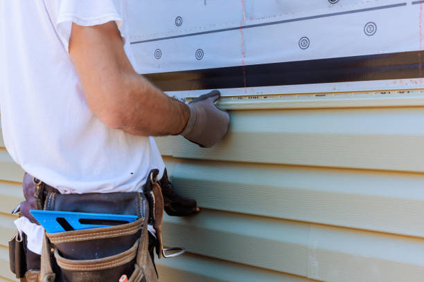Best Custom Trim and Detailing for Siding  in Oakland, MO